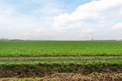 20251110, Langeweg 75, Slootdorp, ZATER Makelaardij (72 of 72).jpg